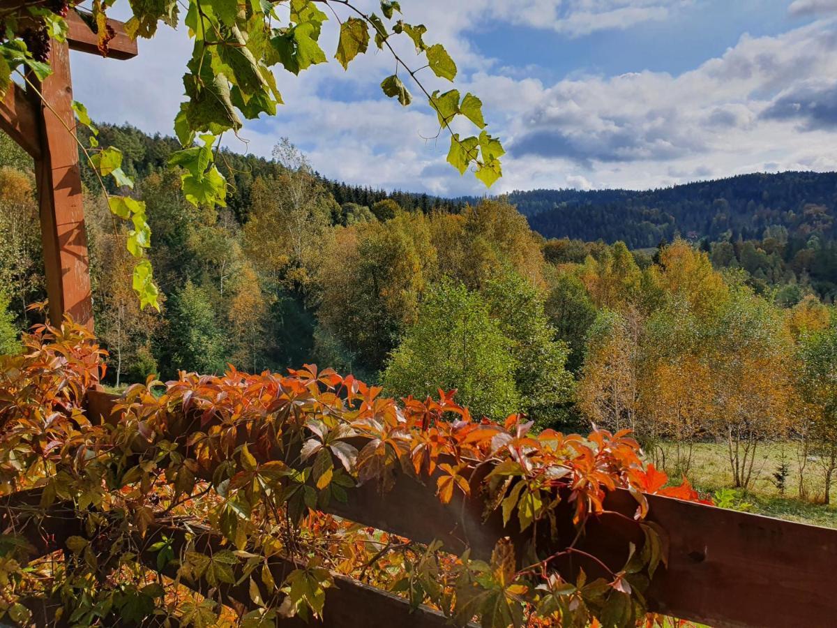 Ksiezycowa Dolina Daire Lądek-Zdrój Dış mekan fotoğraf