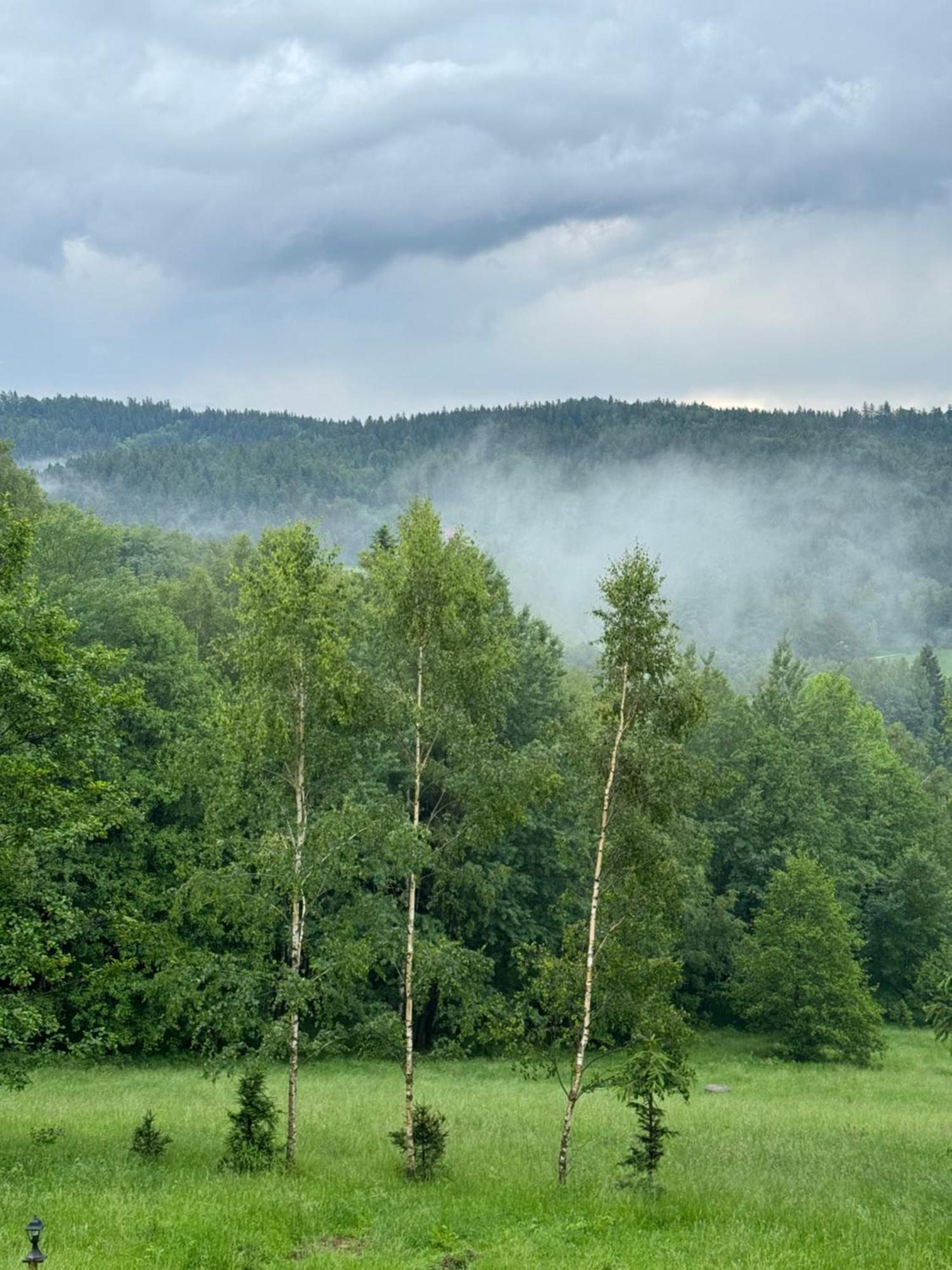 Ksiezycowa Dolina Daire Lądek-Zdrój Dış mekan fotoğraf